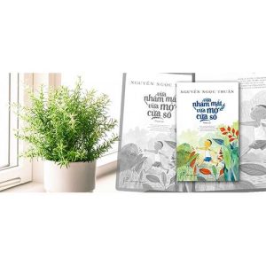 Vừa Nhắm Mắt Vừa Mở Cửa Sổ Vừa nhắm mắt vừa mở cửa sổ