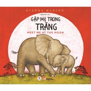 Gặp Mẹ Trong Trăng