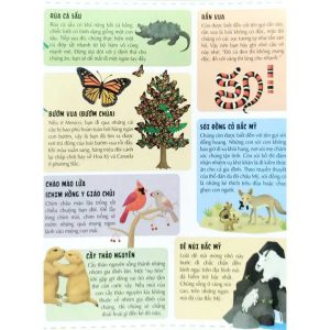 Atlas động vật untitled 5 compressed