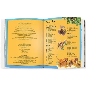PBbook - Bách Khoa Tri Thức Cho Trẻ Em (Khám Phá Và Sáng Tạo) Bách khoa tri thức cho trẻ em