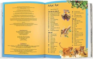 PBbook - Bách Khoa Tri Thức Cho Trẻ Em (Khám Phá Và Sáng Tạo) Bách Khoa Tri Thức Cho Trẻ Em